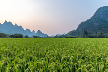 什么是旅游信息化组织